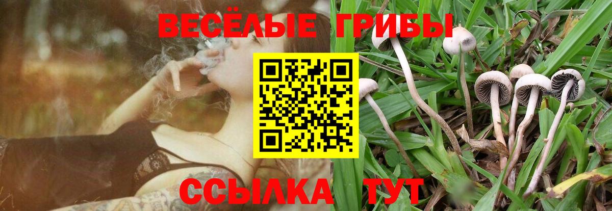 Псилоцибиновые грибы Magic Shrooms  Вход с VPN  Ялта 